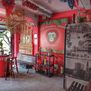 Red Monkey Barra Funda São Paulo